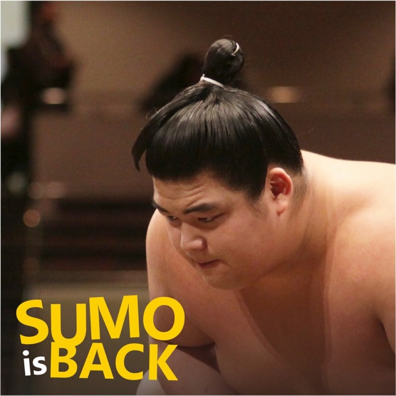 Rencanakan Petualangan Wisata di Jogja Dengan SUMO